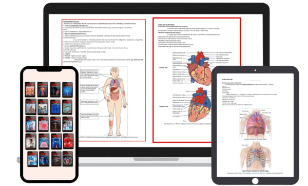 21 Medical notes bundle